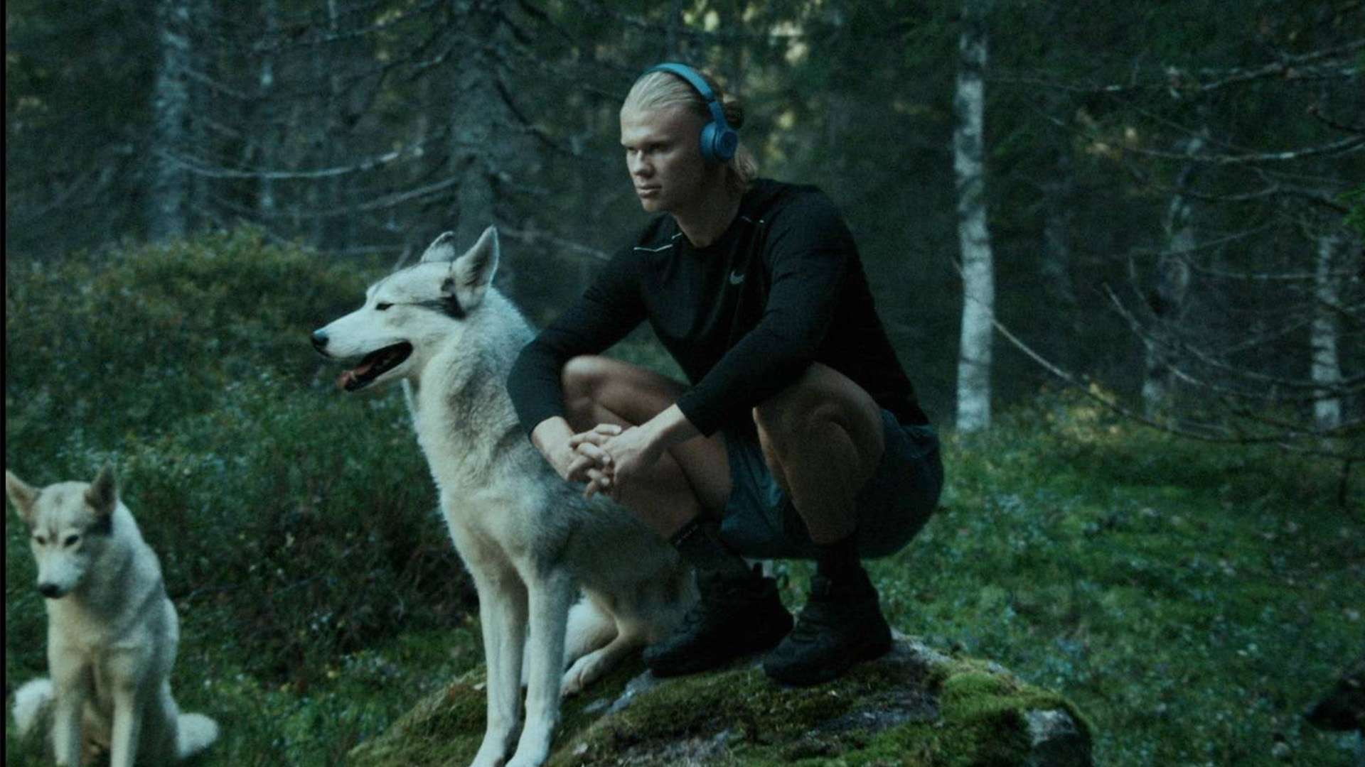 这同样引发 这同样引发